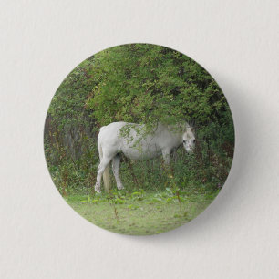 Bóton Redondo 5.08cm Botão tímido do cavalo branco