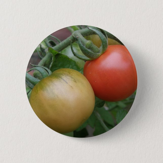 Bóton Redondo 5.08cm Botão Tomates Laranja e Vermelho (Frente)