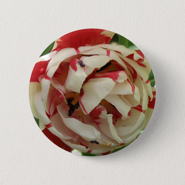 Bóton Redondo 5.08cm Botão Tulipar Cor-de-Rosa e Branco (Frente)