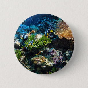 Bóton Redondo 5.08cm Botões Coral Reef