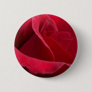 Bóton Redondo 5.08cm Botões da rosa vermelha