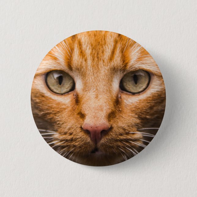 Bóton Redondo 5.08cm Botões do gato olhar fixamente (Frente)