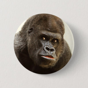 Bóton Redondo 5.08cm Botões Funny Gorilla