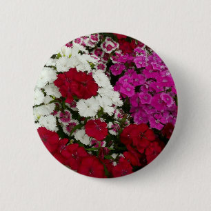 Bóton Redondo 5.08cm Branco, Rosa e Vermelho Dianthus Floral
