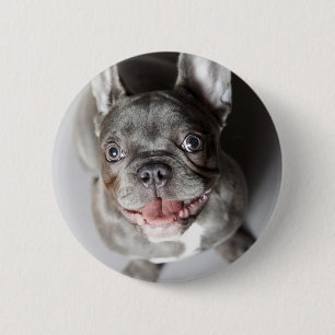 Bóton Redondo 5.08cm Bulldog francês