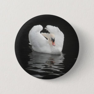 Bóton Redondo 5.08cm Button Swan Natation