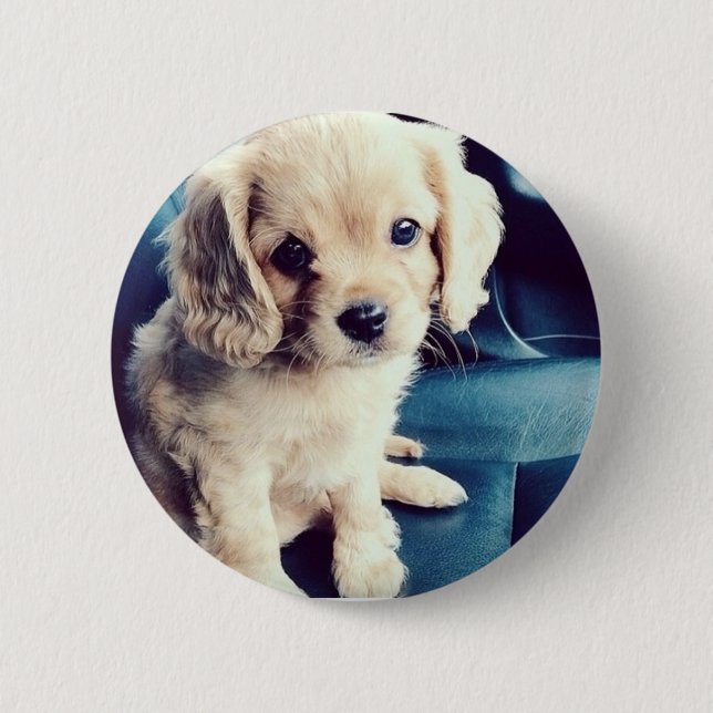 Bóton Redondo 5.08cm Buttonz acima! (Frente)