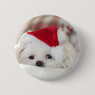 Bóton Redondo 5.08cm Cachorro Branco Fofo com um Chapéu de Natal Vermel