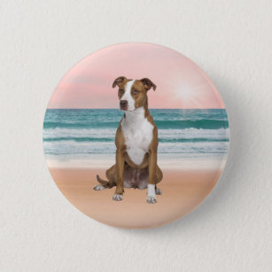 Bóton Redondo 5.08cm Cachorro Pitbull bonito sentado na praia com o pôr