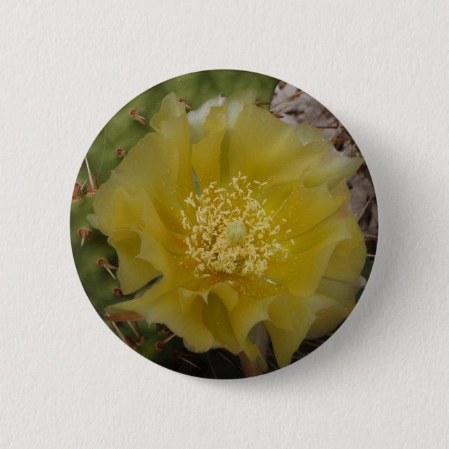 Bóton Redondo 5.08cm Cacto Amarelo em Flor (Frente)