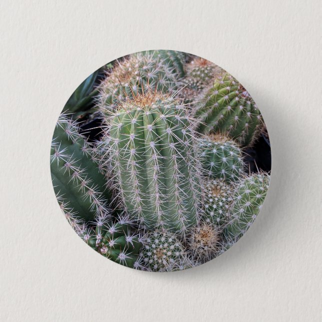 Bóton Redondo 5.08cm Cactus (Frente)
