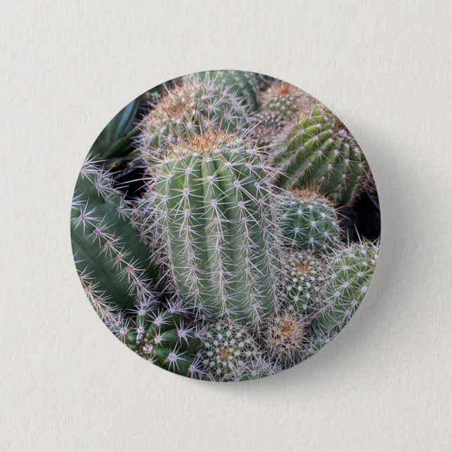 Bóton Redondo 5.08cm Cactus (Frente)