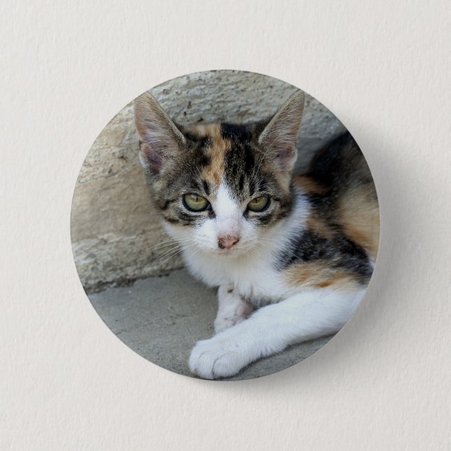 Bóton Redondo 5.08cm Calico Kitten (Frente)