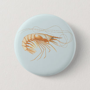 Bóton Redondo 5.08cm Camarão Vintage, Anatomia de Animais do Oceano Mar