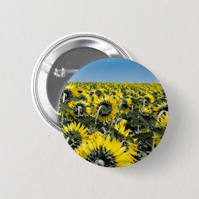 Bóton Redondo 5.08cm Campo de Sunflower (Frente & Verso)