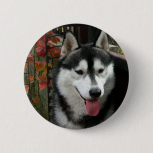 Bóton Redondo 5.08cm Cão 3 do Malamute do Alasca