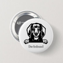 cão-dachshund