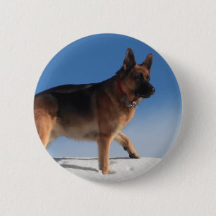 Bóton Redondo 5.08cm Cão De German shepherd Saudável E Feliz