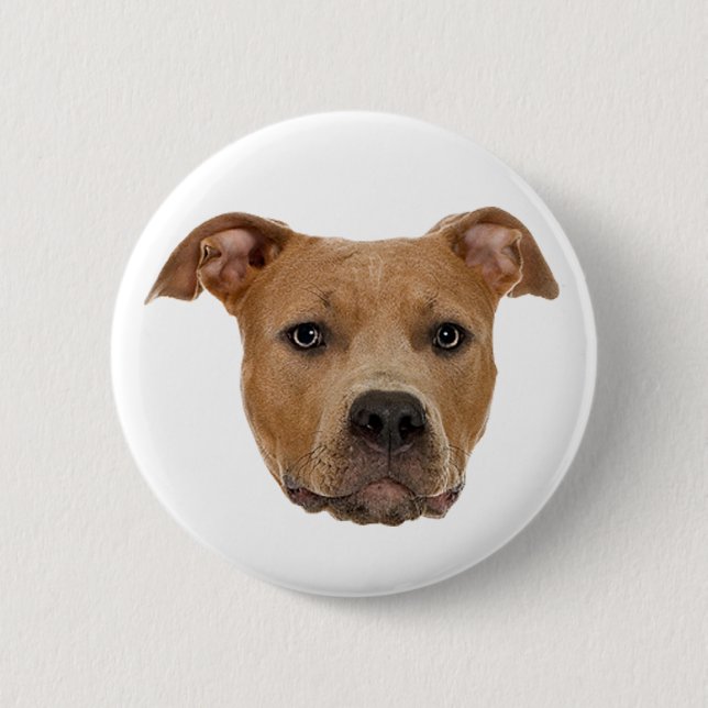 Bóton Redondo 5.08cm Cão Pitbull (Frente)