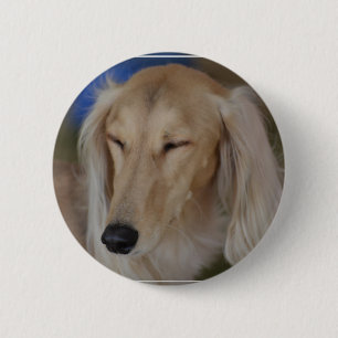 Bóton Redondo 5.08cm Cão sonolento de Saluki