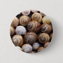 Caracóis