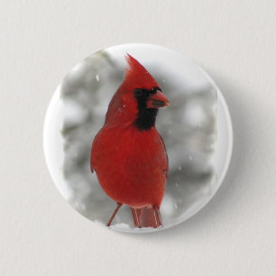 Bóton Redondo 5.08cm Cardinal