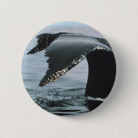 Cauda da baleia de Humpback