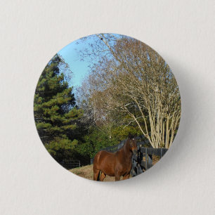 Bóton Redondo 5.08cm Cavalo castanho contra cerca