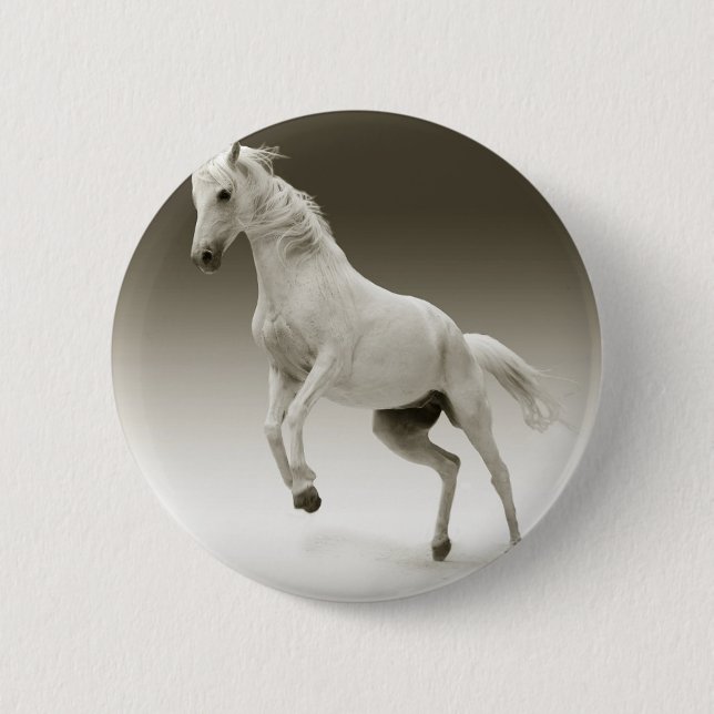 Bóton Redondo 5.08cm cavalo de criação (Frente)