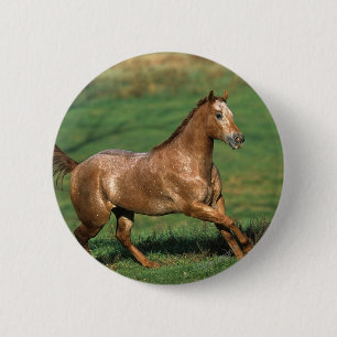 Bóton Redondo 5.08cm Cavalo do Appaloosa que funciona no campo gramíne