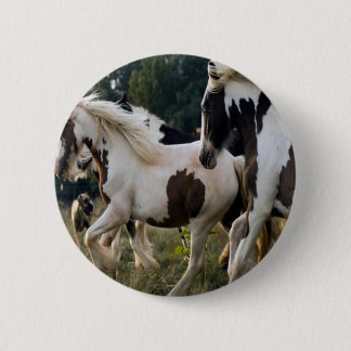 BÓTON REDONDO 5.08CM CAVALOS PRETO E BRANCO 1.PNG