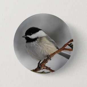 Bóton Redondo 5.08cm Chickadee de Maine