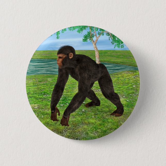Bóton Redondo 5.08cm Chimpanzé (Frente)