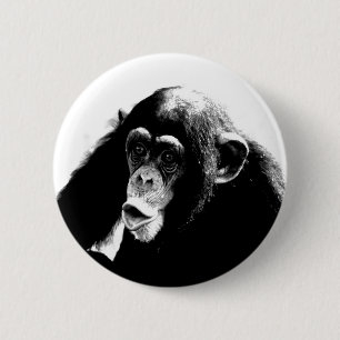 Bóton Redondo 5.08cm Chimpanzé Branco Preto