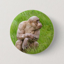 Bóton Redondo 5.08cm Chimpanzé sem Cabelos