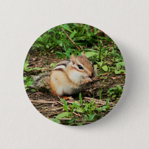 Bóton Redondo 5.08cm Chipmunk bonito