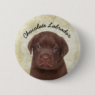 Bóton Redondo 5.08cm Chocolate Labrador