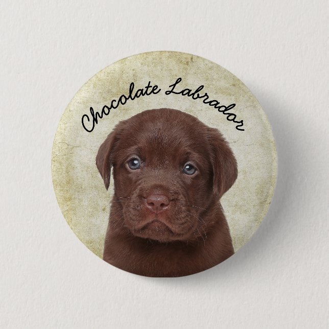 Bóton Redondo 5.08cm Chocolate Labrador (Frente)