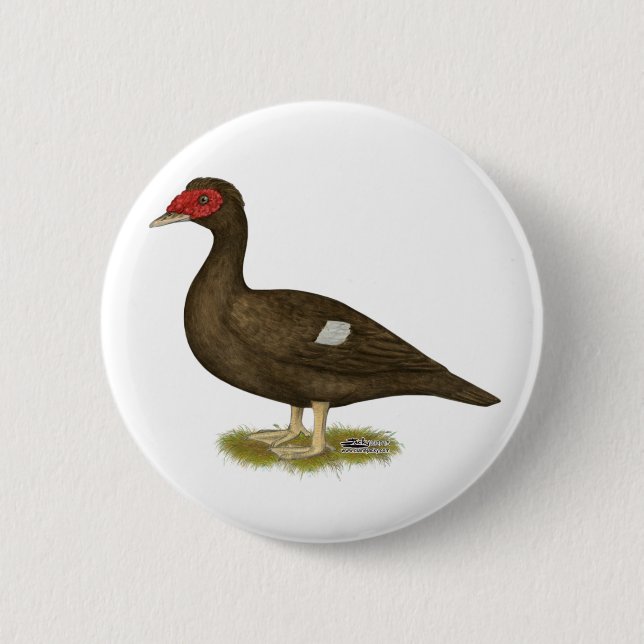 Bóton Redondo 5.08cm Chocolate Muscovy Duck (Frente)