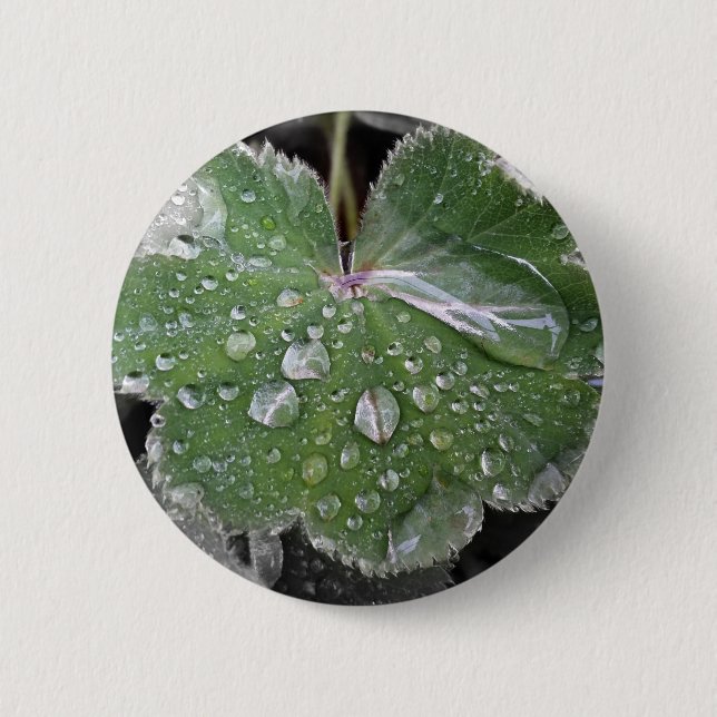 Bóton Redondo 5.08cm chuva pesada (Frente)