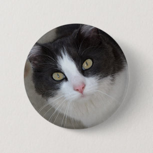 Bóton Redondo 5.08cm cinza bonito e gato branco
