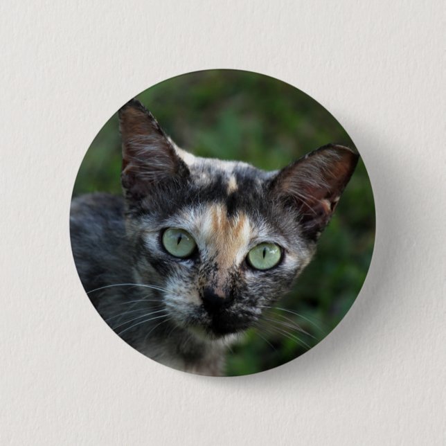 Bóton Redondo 5.08cm Cinza de Gato Branco Castanho com Olhos Verdes (Frente)