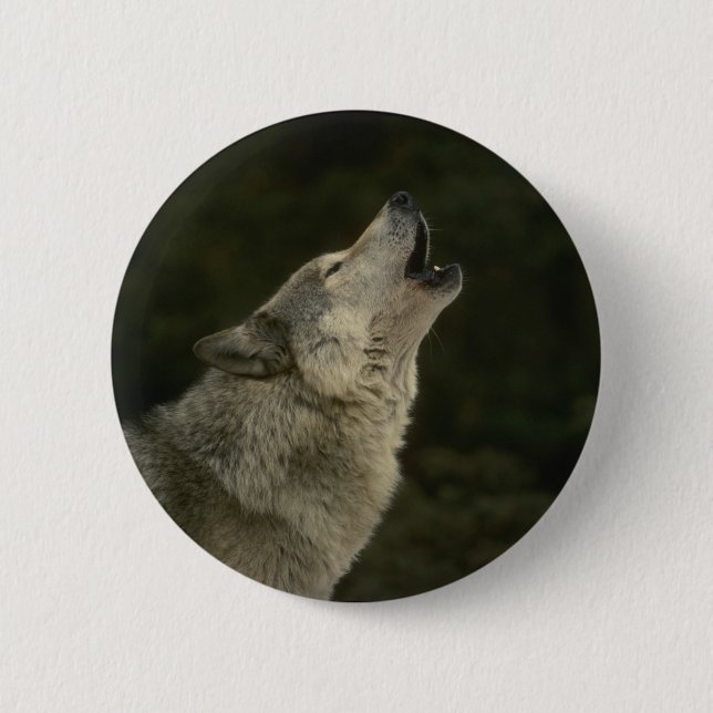 Bóton Redondo 5.08cm Cinza Wolf (Frente)