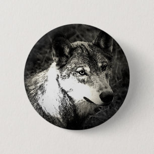 Bóton Redondo 5.08cm Cinza Wolf