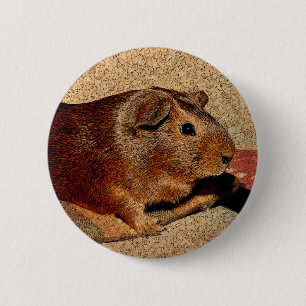 Bóton Redondo 5.08cm Cobaia do olhar de Corkboard