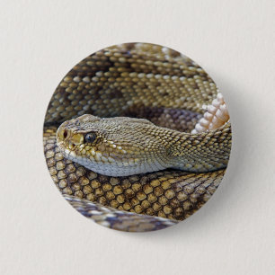 Bóton Redondo 5.08cm Cobra Venomous Rattle Close