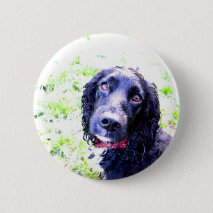 Bóton Redondo 5.08cm Cocker Spaniel