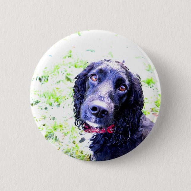 Bóton Redondo 5.08cm Cocker Spaniel (Frente)