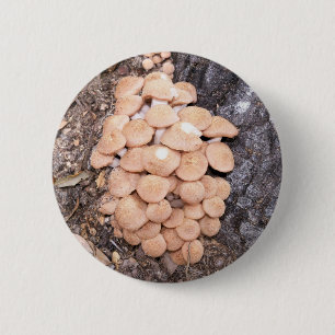 Bóton Redondo 5.08cm cogumelos de mel sem ferrão