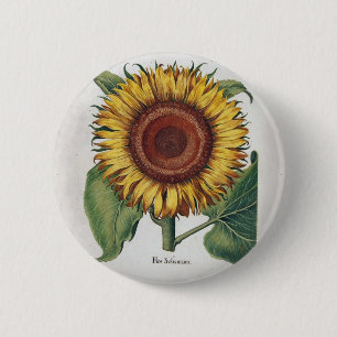 Bóton Redondo 5.08cm Colagem de papel de parede de girassol Vintage